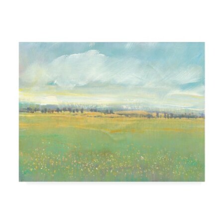 Tim O'Toole 'Soft Meadow Light Ii' Canvas Art,35x47